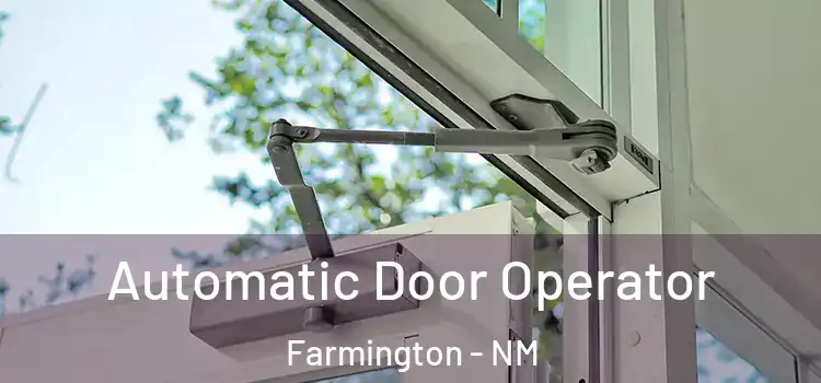 Automatic Door Operator Farmington - NM