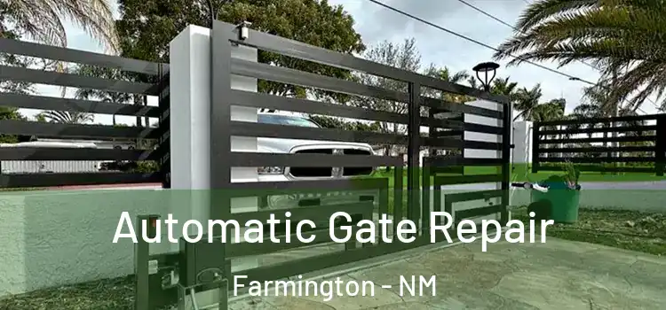 Automatic Gate Repair Farmington - NM