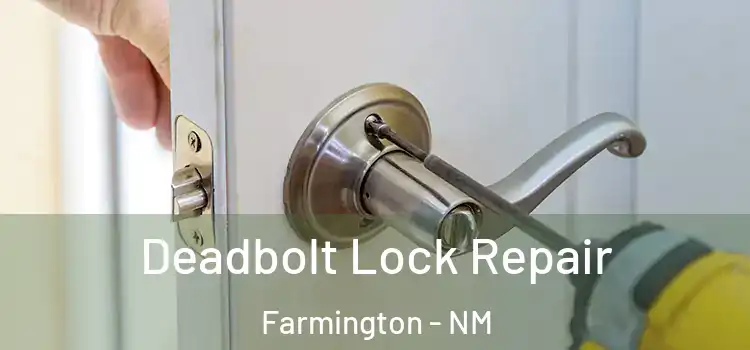 Deadbolt Lock Repair Farmington - NM