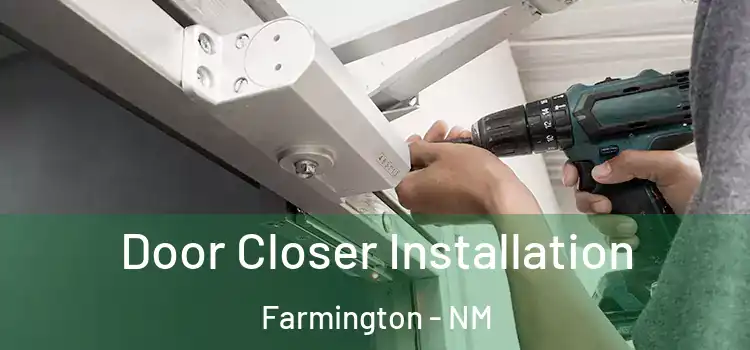 Door Closer Installation Farmington - NM