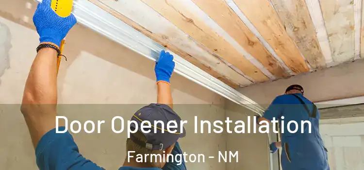 Door Opener Installation Farmington - NM