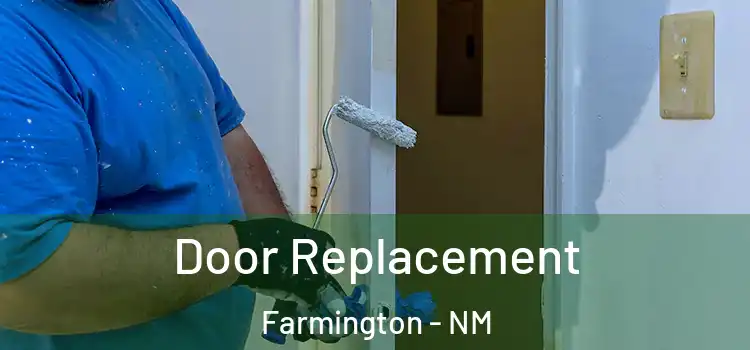 Door Replacement Farmington - NM
