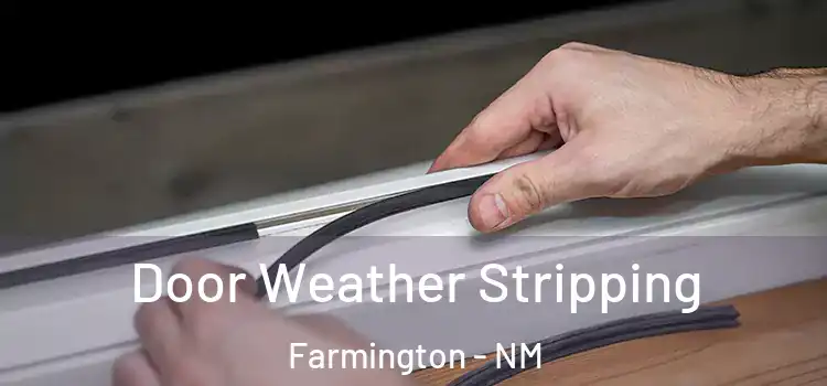 Door Weather Stripping Farmington - NM