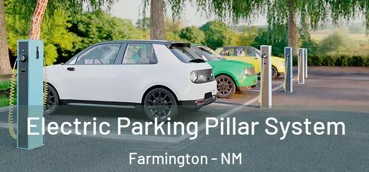 Electric Parking Pillar System Farmington - NM