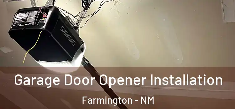  Garage Door Opener Installation Farmington - NM