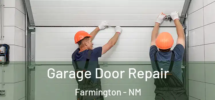  Garage Door Repair Farmington - NM