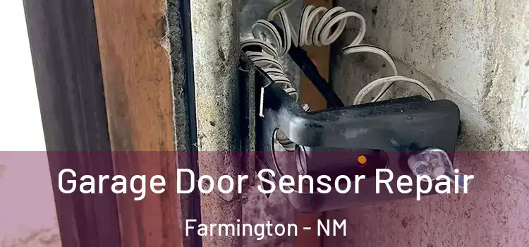 Garage Door Sensor Repair Farmington - NM