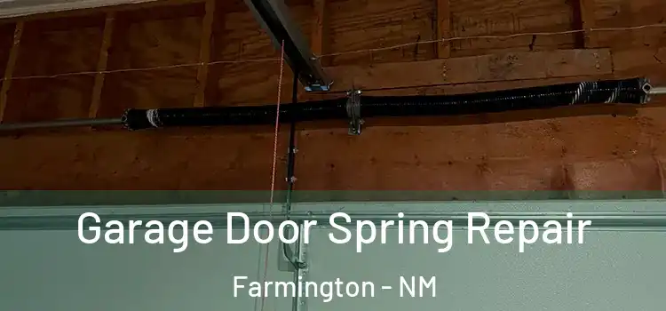  Garage Door Spring Repair Farmington - NM