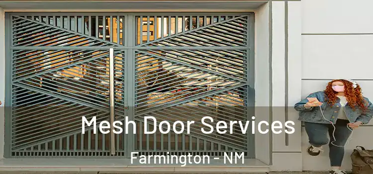 Mesh Door Services Farmington - NM