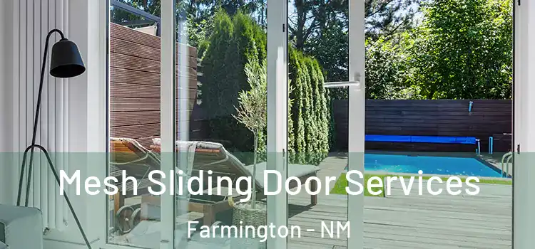 Mesh Sliding Door Services Farmington - NM