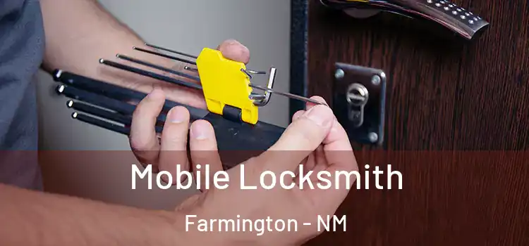 Mobile Locksmith Farmington - NM