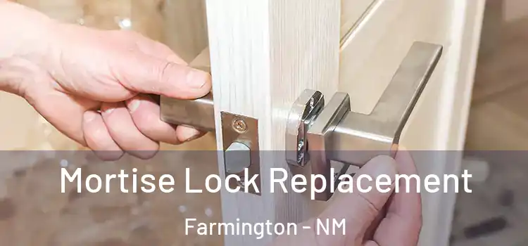 Mortise Lock Replacement Farmington - NM