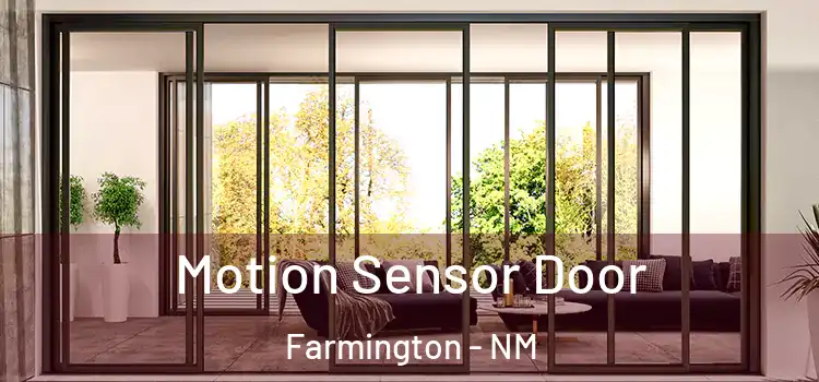 Motion Sensor Door Farmington - NM