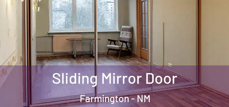  Sliding Mirror Door Farmington - NM
